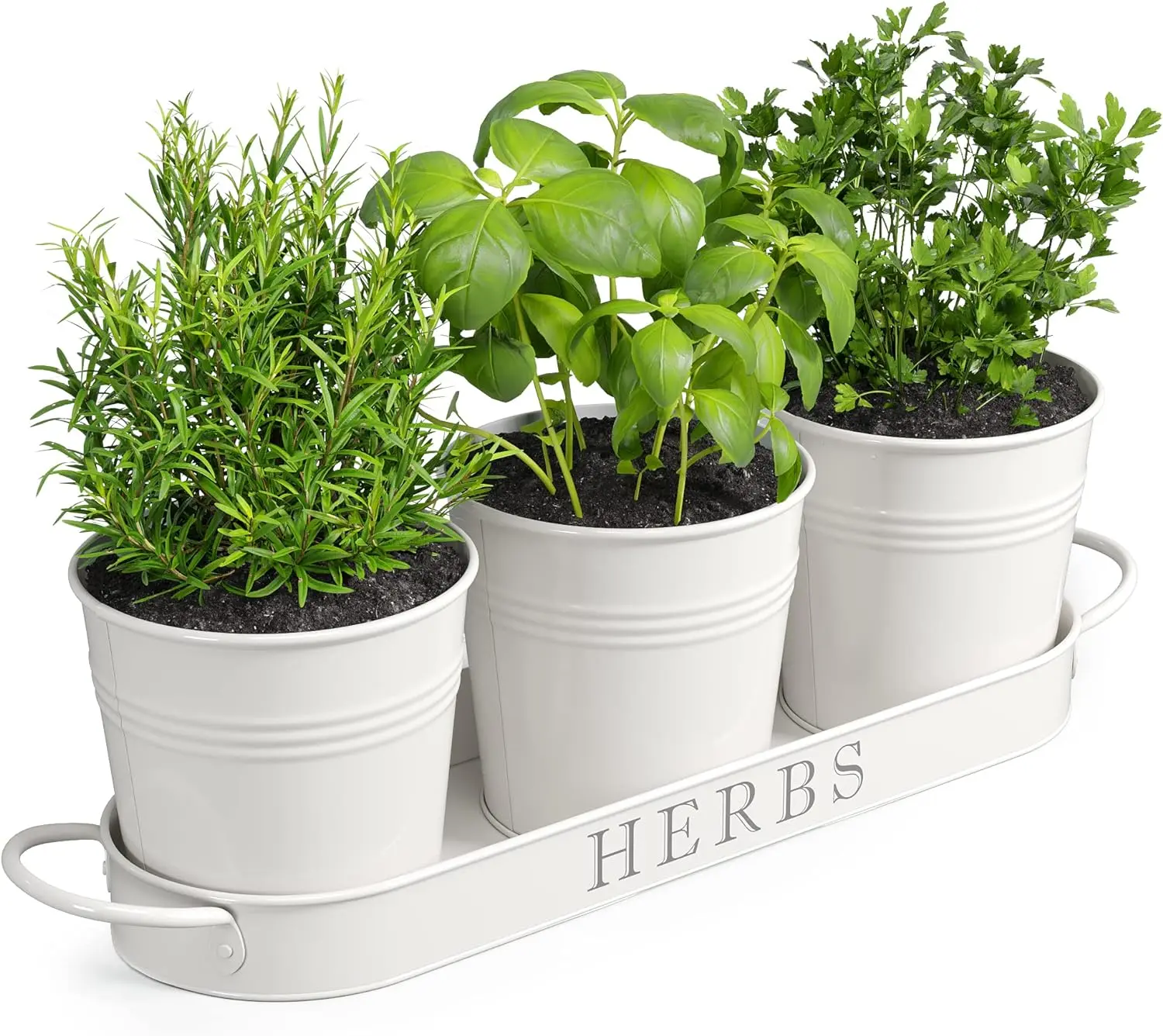 Paper Tube Seed Planting + How To Create An Upcycled Herb Garden