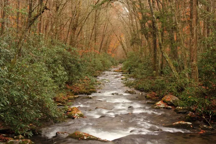 Great Smoky Mountains National Park: 8 TOP Easy Hikes