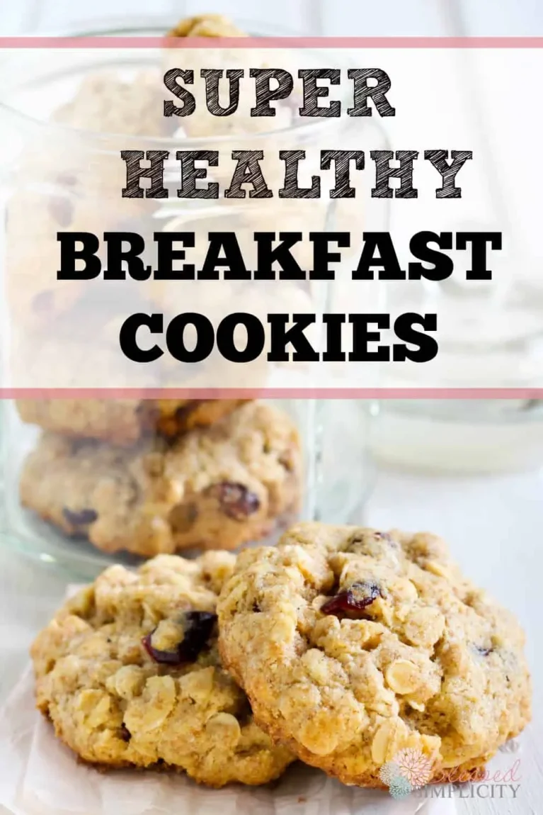 Breakfast Cookies