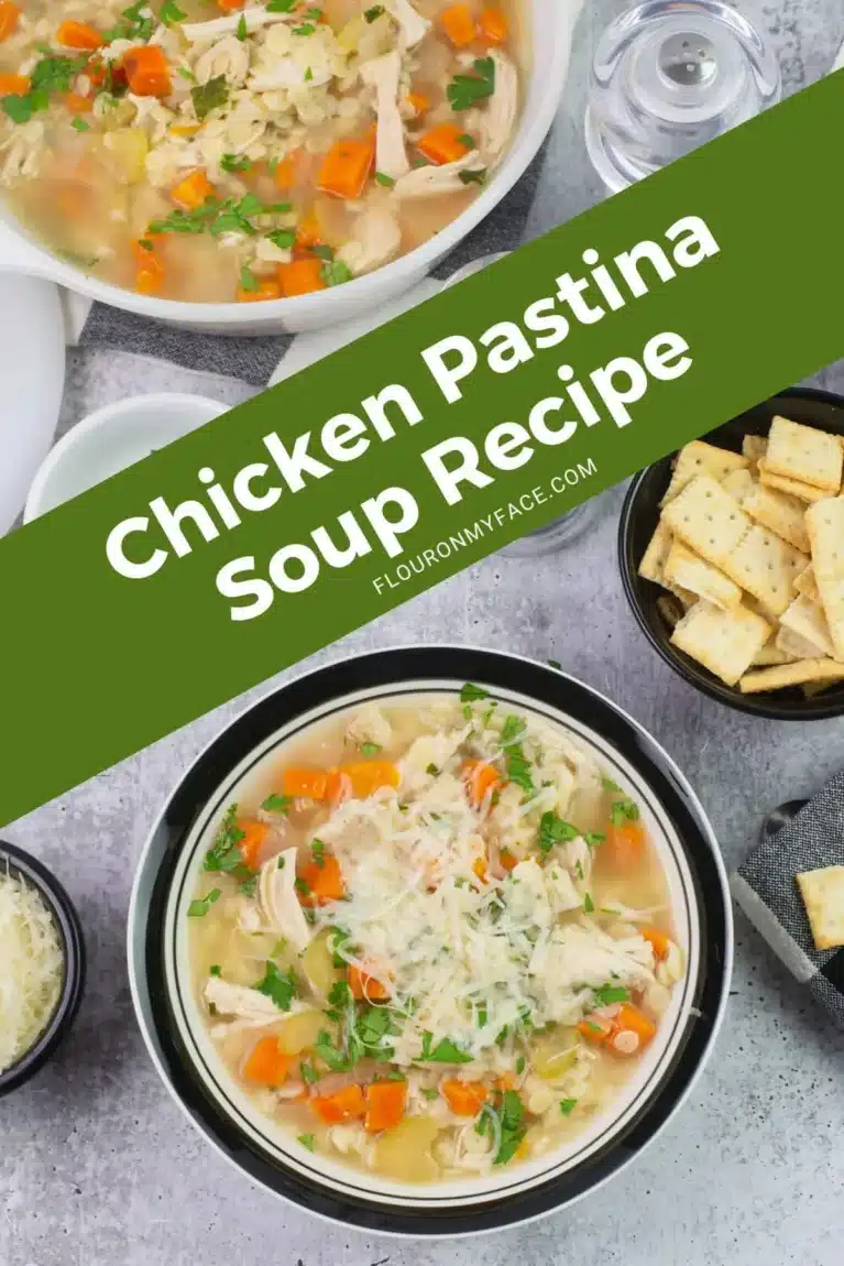 Crock Pot Chicken Pastina Soup